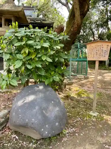 許波多神社（小幡東中鎮座）のその他建物