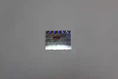 莫越山神社(千葉県)