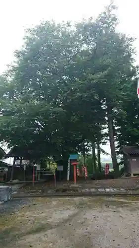 秈荷神社の自然