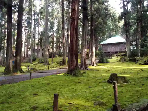 平泉寺白山神社の周辺