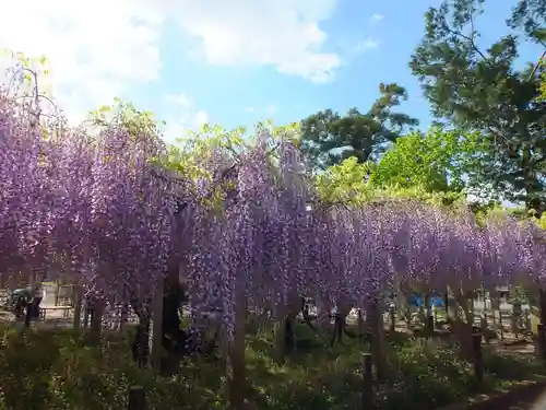 三大神社の自然