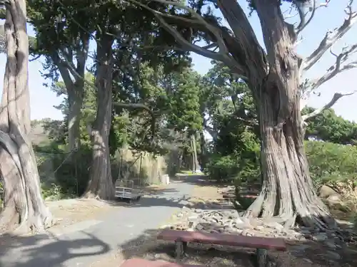大瀬神社の自然