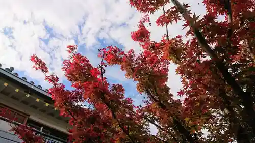 寿量山　速成寺の庭園