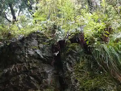 出雲大社(島根県)