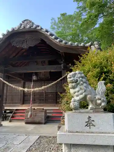 網戸神社の狛犬