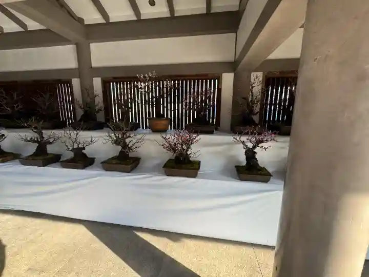 湯島天満宮の{uncategorized: "未分類", other: "その他", undefined: "問題あり", building: "その他建物", grave: "お墓", sacred_gate: "鳥居", guardian: "狛犬", statue: "像", buddha: "仏像", history: "歴史", nature: "自然", garden: "庭園", animal: "動物", pagoda: "塔", temizu: "手水舎", mountain_gate: "山門・神門", sanctuary: "本殿・本堂", subordinate: "末社・摂社", art: "芸術", scenery: "景色", jizo: "地蔵", ema: "絵馬", goshuin: "御朱印", omikuji: "おみくじ", items: "授与品その他", amulet: "お守り", goshuincho: "御朱印帳", eats: "食事", festival: "お祭り", votive_dance: "神楽", shichigosan: "七五三参", wedding: "結婚式", experience: "体験その他", initially: "初詣", around: "周辺", anti_infection: "感染症対策"}