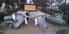 水海道天満宮の自然