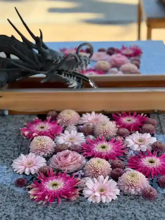 川越八幡宮の{uncategorized: "未分類", other: "その他", undefined: "問題あり", building: "その他建物", grave: "お墓", sacred_gate: "鳥居", guardian: "狛犬", statue: "像", buddha: "仏像", history: "歴史", nature: "自然", garden: "庭園", animal: "動物", pagoda: "塔", temizu: "手水舎", mountain_gate: "山門・神門", sanctuary: "本殿・本堂", subordinate: "末社・摂社", art: "芸術", scenery: "景色", jizo: "地蔵", ema: "絵馬", goshuin: "御朱印", omikuji: "おみくじ", items: "授与品その他", amulet: "お守り", goshuincho: "御朱印帳", eats: "食事", festival: "お祭り", votive_dance: "神楽", shichigosan: "七五三参", wedding: "結婚式", experience: "体験その他", initially: "初詣", around: "周辺", anti_infection: "感染症対策"}