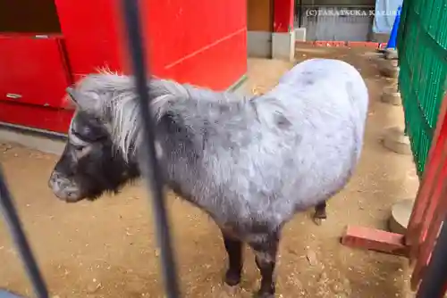 神田神社（神田明神）(東京都)