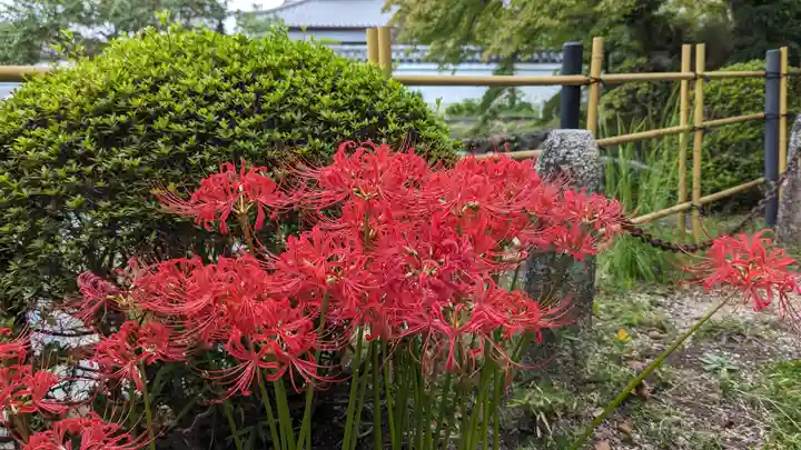 真正極楽寺(真如堂)(京都府)