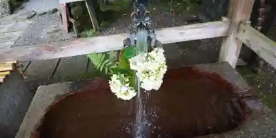 出雲大神宮の手水舎