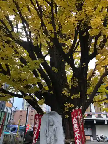 成田山札幌別院新栄寺の自然