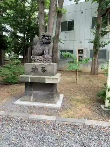 新琴似神社の狛犬