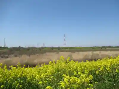 東金野井須賀神社(千葉県)