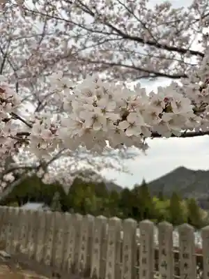 和田寺(兵庫県)