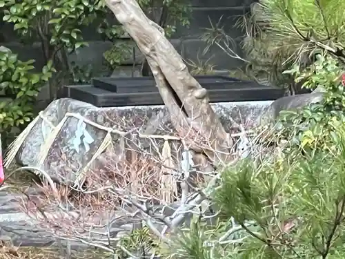 六道珍皇寺(京都府)