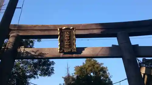 江島杉山神社の鳥居