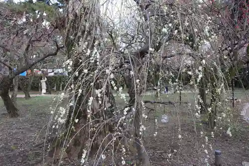 北野天満宮(京都府)