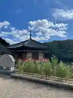 安倍文殊院 (奈良県)