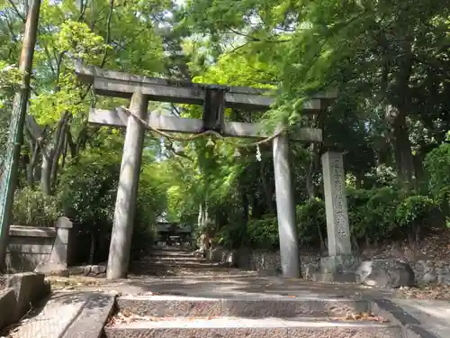 伊居太神社の鳥居