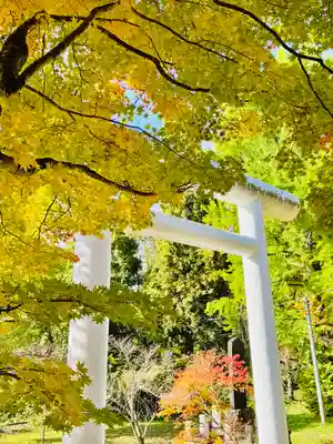 土津神社｜こどもと出世の神さま(福島県)