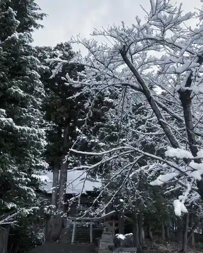 高司神社〜むすびの神の鎮まる社〜の自然