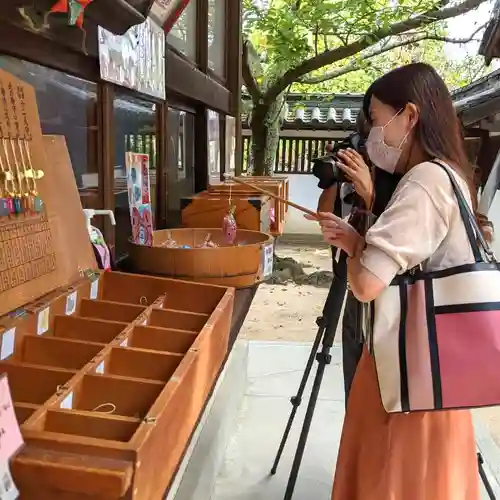 三津厳島神社のおみくじ