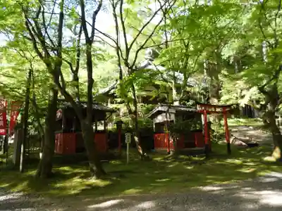 今熊野観音寺(京都府)
