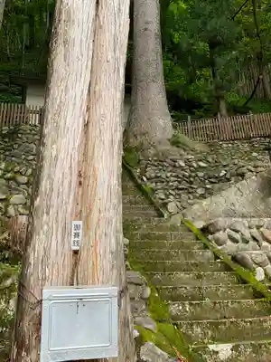鎮守神社（橋場のばんば）の自然