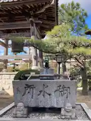 善福寺の手水