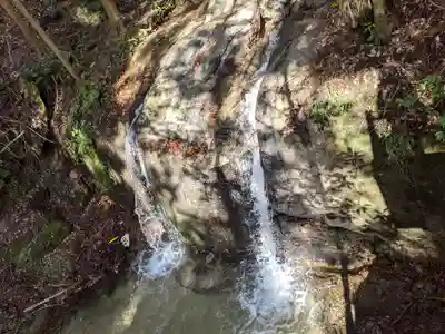 猿投神社　西の宮の自然