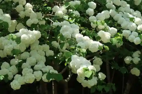 長谷寺(奈良県)