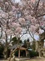 櫻井神社(新潟県)