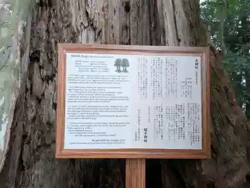 蛭子神社の{uncategorized: "未分類", other: "その他", undefined: "問題あり", building: "その他建物", grave: "お墓", sacred_gate: "鳥居", guardian: "狛犬", statue: "像", buddha: "仏像", history: "歴史", nature: "自然", garden: "庭園", animal: "動物", pagoda: "塔", temizu: "手水舎", mountain_gate: "山門・神門", sanctuary: "本殿・本堂", subordinate: "末社・摂社", art: "芸術", scenery: "景色", jizo: "地蔵", ema: "絵馬", goshuin: "御朱印", omikuji: "おみくじ", items: "授与品その他", amulet: "お守り", goshuincho: "御朱印帳", eats: "食事", festival: "お祭り", votive_dance: "神楽", shichigosan: "七五三参", wedding: "結婚式", experience: "体験その他", initially: "初詣", around: "周辺", anti_infection: "感染症対策"}