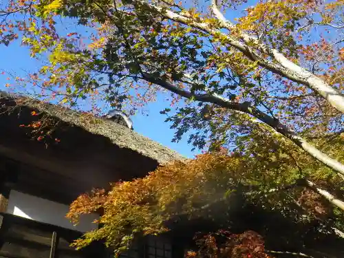 海蔵寺の庭園