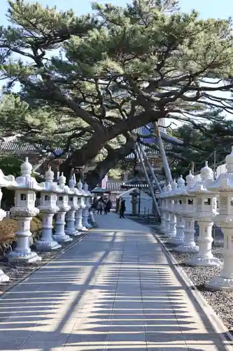 誕生寺(千葉県)