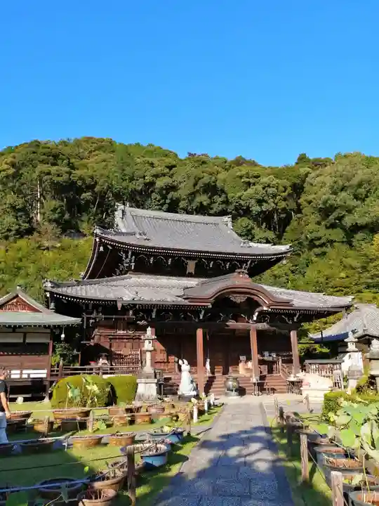 三室戸寺の本殿・本堂