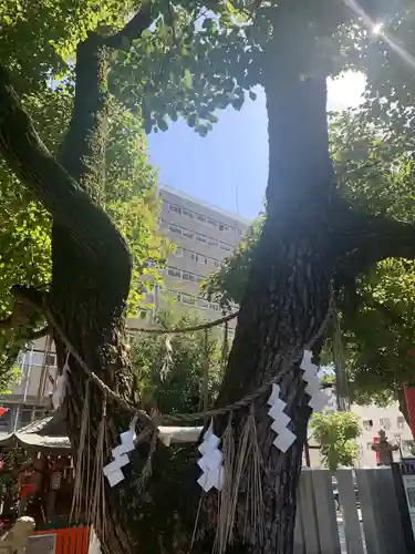 開口神社の自然
