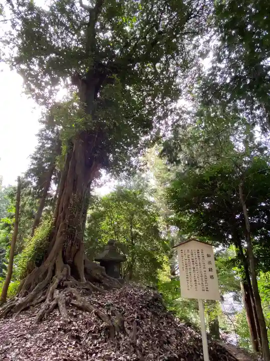 吉備津神社の自然