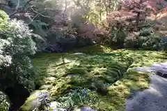 光明寺瑠璃光院の庭園