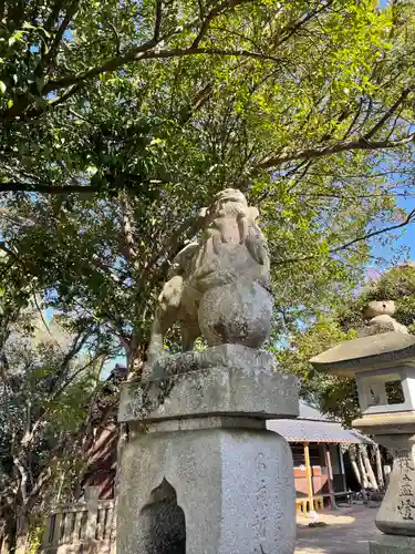 高屋神社の狛犬