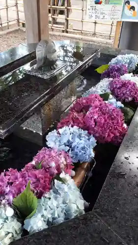新琴似神社の手水舎
