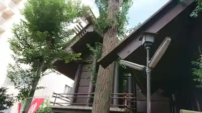 高円寺氷川神社の本殿・本堂