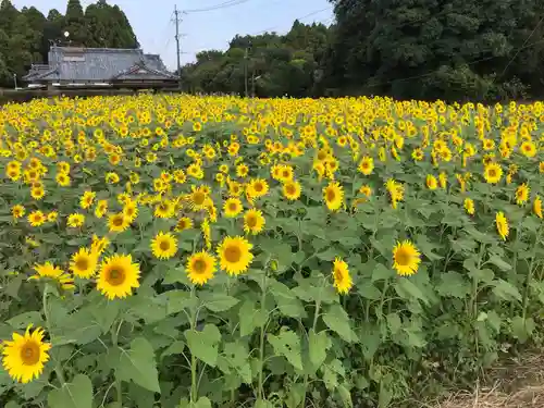 八幡神社の自然