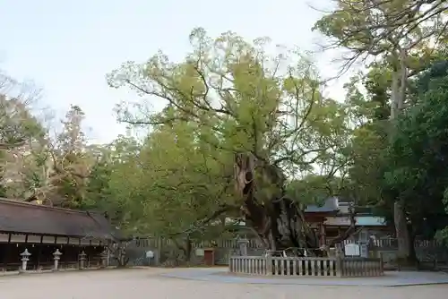 大山祇神社のその他建物