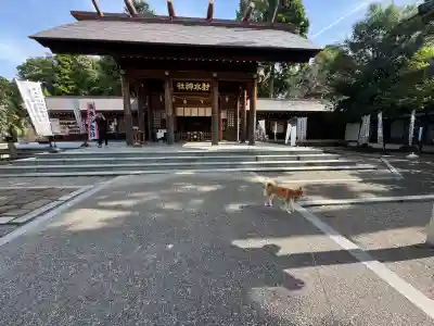 射水神社の{uncategorized: "未分類", other: "その他", undefined: "問題あり", building: "その他建物", grave: "お墓", sacred_gate: "鳥居", guardian: "狛犬", statue: "像", buddha: "仏像", history: "歴史", nature: "自然", garden: "庭園", animal: "動物", pagoda: "塔", temizu: "手水舎", mountain_gate: "山門・神門", sanctuary: "本殿・本堂", subordinate: "末社・摂社", art: "芸術", scenery: "景色", jizo: "地蔵", ema: "絵馬", goshuin: "御朱印", omikuji: "おみくじ", items: "授与品その他", amulet: "お守り", goshuincho: "御朱印帳", eats: "食事", festival: "お祭り", votive_dance: "神楽", shichigosan: "七五三参", wedding: "結婚式", experience: "体験その他", initially: "初詣", around: "周辺", anti_infection: "感染症対策"}
