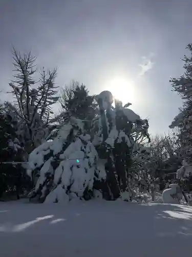 砂川神社の自然