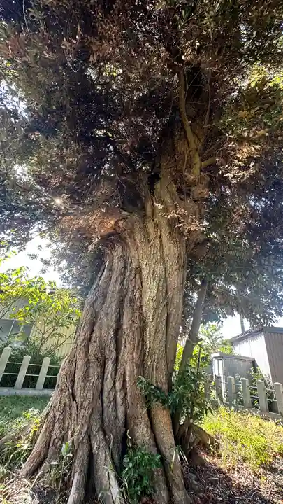 八幡神社(福井県)