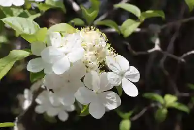 唐招提寺(奈良県)