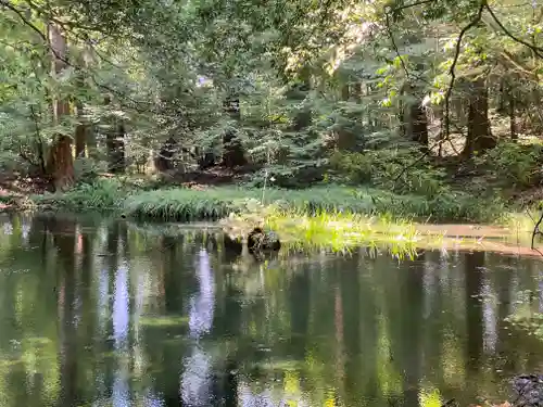平泉寺白山神社(福井県)